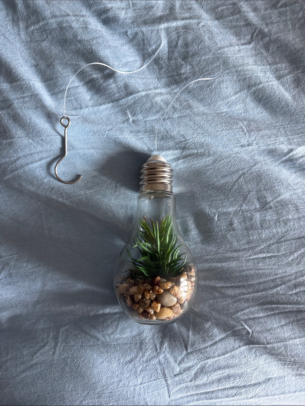 Hanging Lightbulb Terrarium with Green Succulent